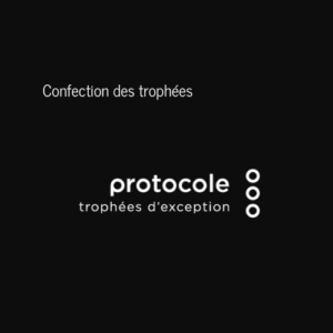 Protocole 500x500